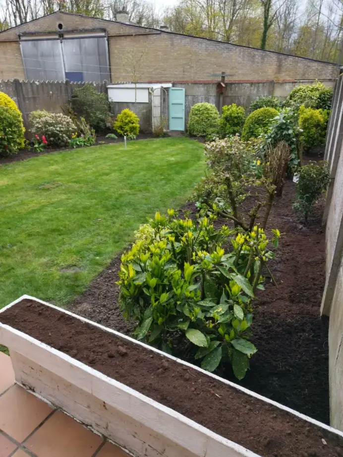 Grondige tuinrenovatie en herbeplanting van borders uitgevoerd door Tuinen Geoffrey Debergh in Poperinge