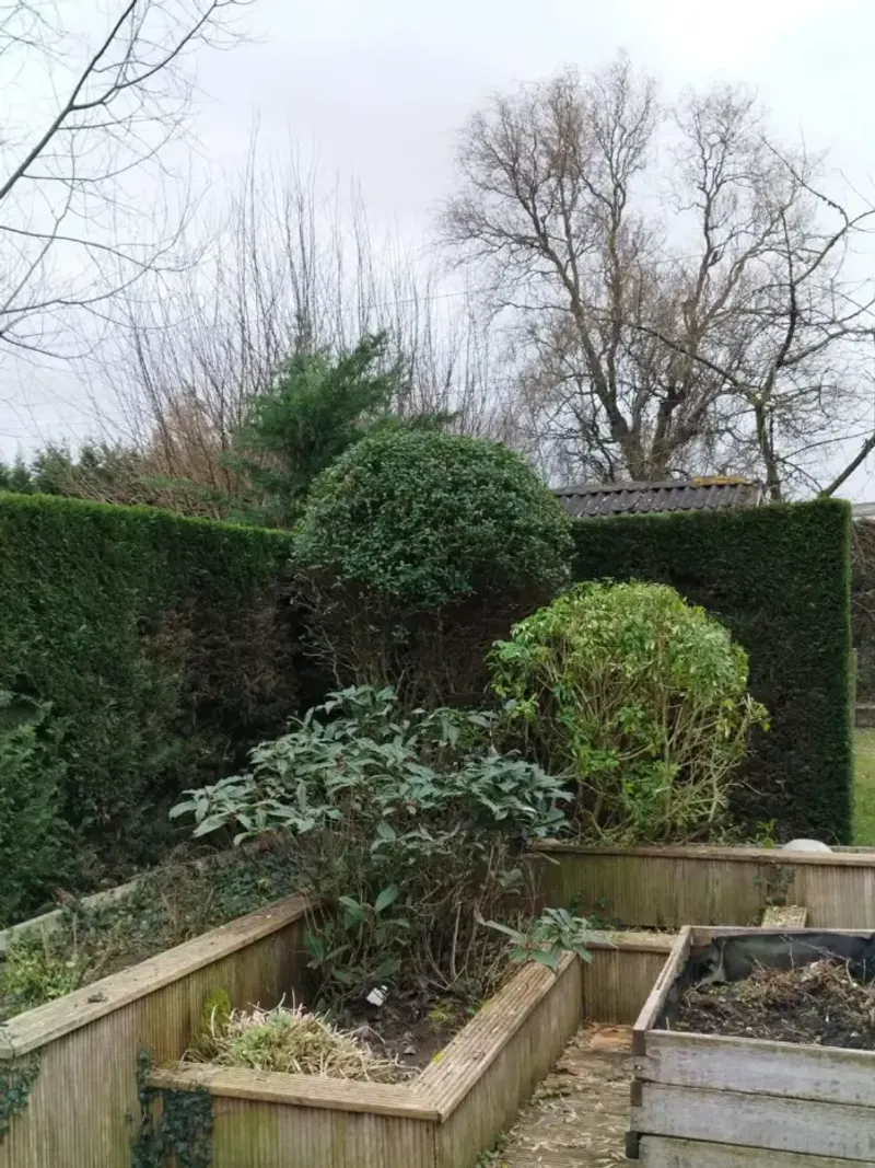 Periodiek tuinonderhoud en professionele nazorg van beplanting en gazon in West-Vlaanderen
