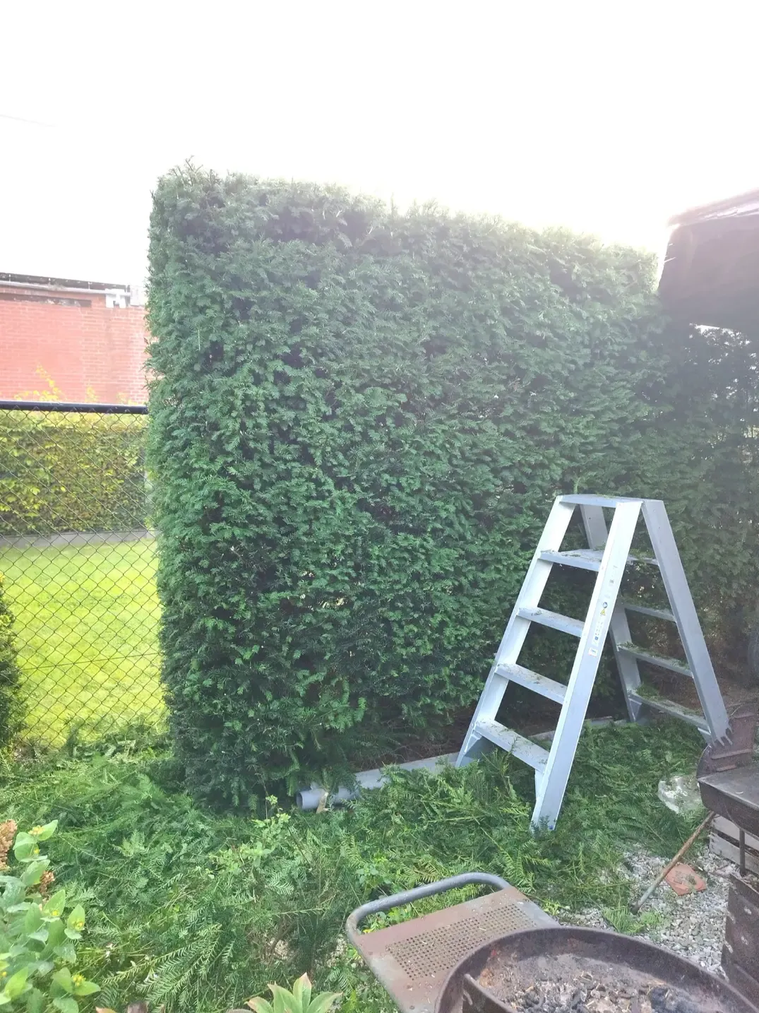 Gedetailleerde afwerking van een border met siergrassen en kwalitatieve beplanting door Tuinen Geoffrey Debergh in Ieper
